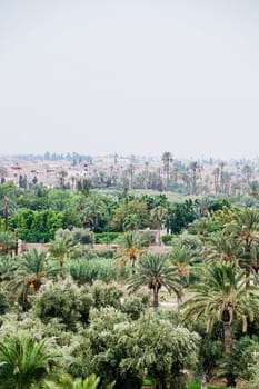 marrakech morocco rooftop view