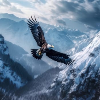 Eagle flying over snowy mountains