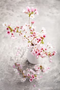 Spring feeling - cherry blossom branch on kitchen table