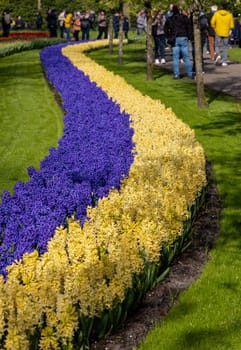 Keukenhof, Lisse Netherlands - April 18, 2023: Visitors at the Keukenhof Garden in Lisse, Netherlands.