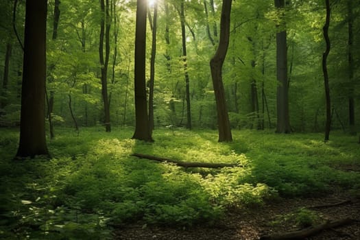 A tranquil oasis in the heart of the forest, this clearing glows with the soft light of the sun filtering down through the leaves. The scene is vertical and cool, with a calming green hue and leafy texture. This scene can evoke feelings of peace, serenity and zen-like calm. (generative AI)