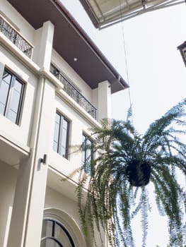 Summer sunlight building facade outdoors, stock photo