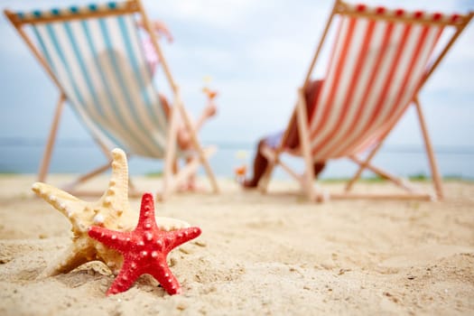 Two sea stars on sand and relaxing sunbathers on background