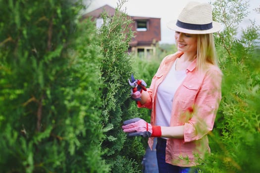 Female gardener taking care of thuja