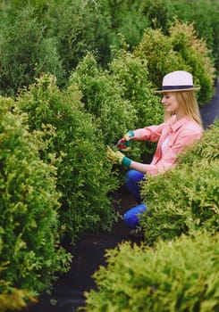 Female gardener taking care of green thuja bushes