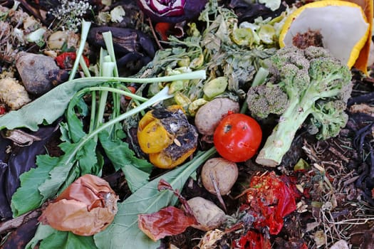 Discarded food and kitchen waste in a garbage heap