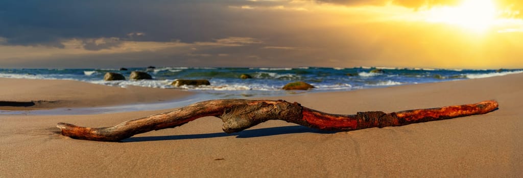 Flotsam root on the Baltic Sea beach in glorious sunshine