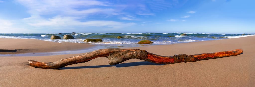 Flotsam root on the Baltic Sea beach in glorious sunshine