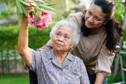 Asian elderly woman enjoy in flower garden with caregiver in park.