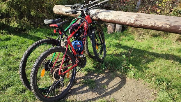 two bicycles summer green grass nature transport wheels park travel nature . High quality photo
