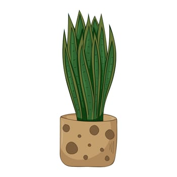 Hand drawn cute summer illustration of growing sansevieria in pot. Vector simple colored Home plant icon