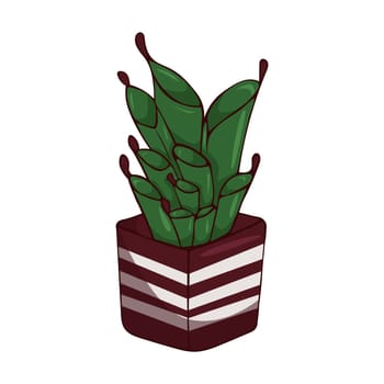 Hand drawn cute summer illustration of growing heliamphora in pot.Flat vector home plant Isolated on white background