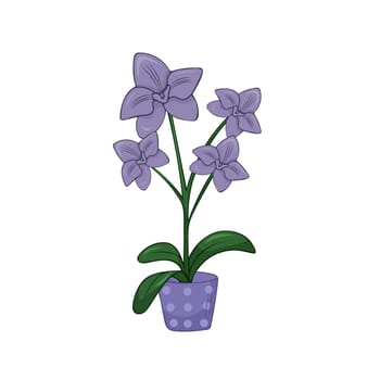 Hand drawn cute summer illustration of growing orchid in pot. Flat vector home plant Isolated on white background