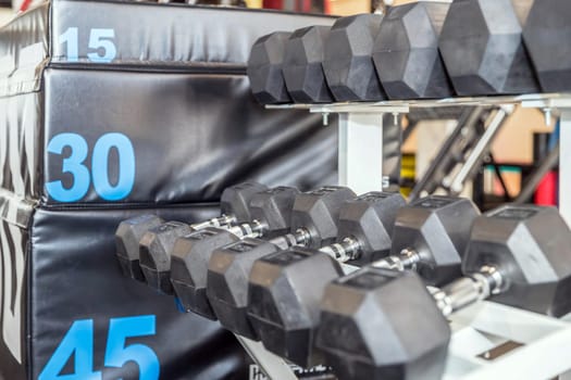 Row of Hand Barbells weight training equipment. Concept of health.