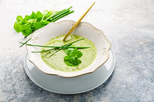 Healthy green soup with fresh spring plants, herbs, winter purslane, chives and ramson