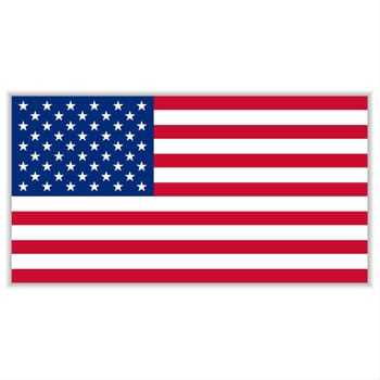 American Flag on White Background  Vector Illustration