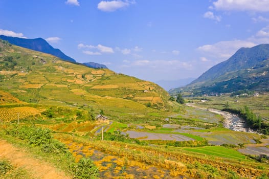 Landscape of Sapa rice terraced fields, Vietnam
