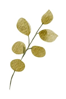 Brown leaf watercolor on white background
