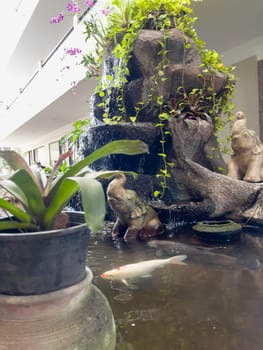 Tropical plant decorated in garden, stock photo