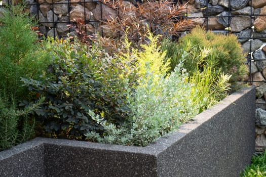 Tropical garden with botanic plants stone, stock photo