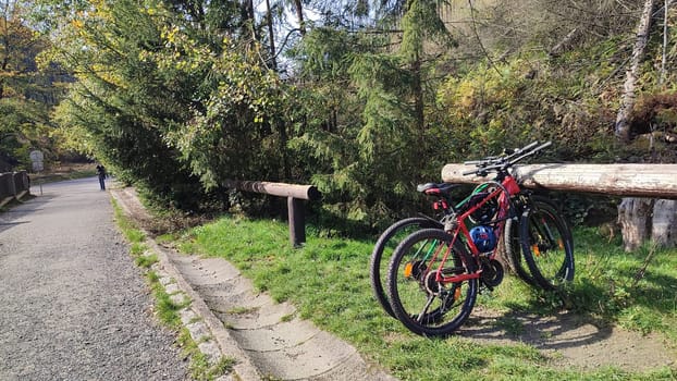 two bicycles summer green grass nature transport wheels park travel road nature landscape trees . High quality photo
