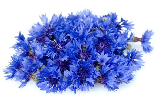 Kornblume  Centaurea  cyanus  Ackerpflanzen  Kornblumen