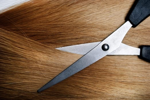 Long healthy blond hair and professional scissors
