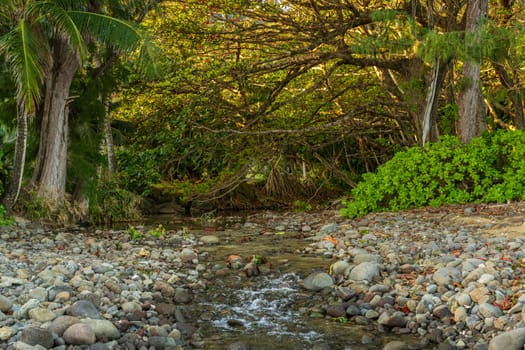 Limahuli stream flows to the sea on a rocky bed near Ke'e Beach, the shores lush with tropical plants and trees in Kauai