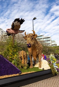 Noordwijk, Netherlands - April 22, 2023: Spectacular flower covered floats in the Bloemencorso Bollenstreek the annual spring flower parade from Noordwijk to Haarlem in the Netherlands.
