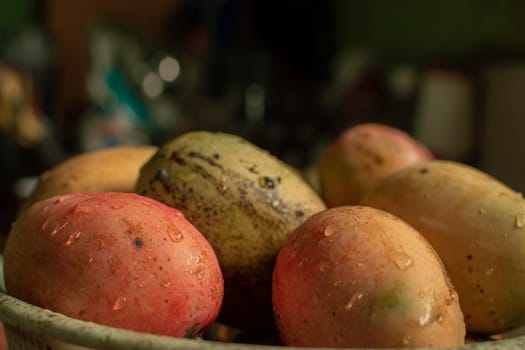 Fresh washed mangoes put in a bowl in the kitchen, Fresh freshly washed mangoes on bowl with copy space, concept of fresh mangoes in a basket