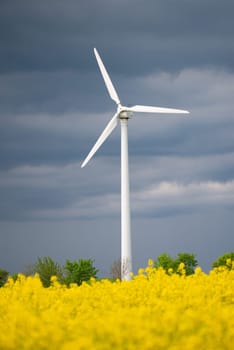 Yellow blooming raps field with windmills, agriculture and renewable sustainable energy, countryside, cultivated farmland