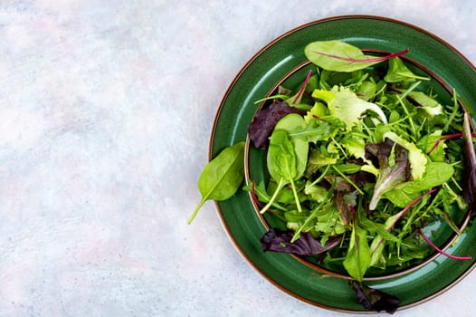 Fresh salad of spring greens on a plate. Leaves mix salad. Space for text.