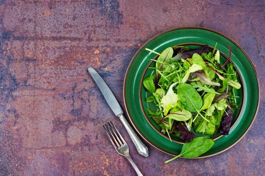 Fresh salad of spring greens on a plate. Leaves mix salad. Space for text.