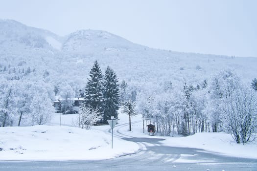 Winter landscape in Scandinavia. With snow covered trees on a road. Landscape photo from the north
