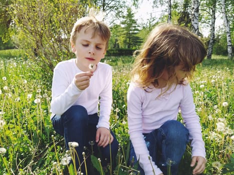 Boy and girl on the grass. Cute children pick meadow flowers and blow on dandelion seeds. Brother and sister are wearing white blouses and blue jeans. sunny weather in a city park. Recreation and communication in nature. Ecology, healthy lifestyle and nutrition concept