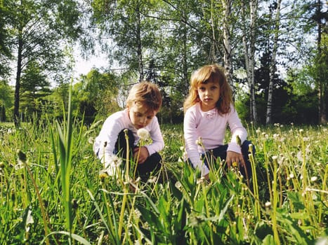Boy and girl on the grass. Cute children gather meadow flowers and blow on dandelion seeds. Sister and brother are wearing white blouses and blue jeans. Girl looking at the camera, the boy bowed his head in explores something in the grass