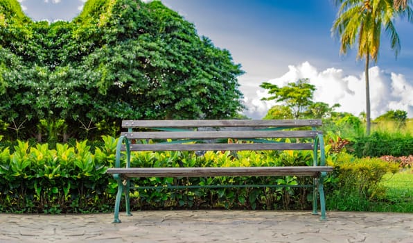 A wooden bench in a park at sunset, front view of a wooden bench with sky and clouds in the background, Front view of a nice wooden bench surrounded by plants with copy space.