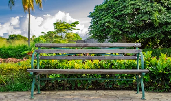Front view of a nice wooden bench surrounded by plants with copy space. A wooden bench in a park at sunset, front view of a wooden bench with sky and clouds in the background