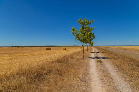 Rural road in the Spanish countryside among agricultural fields, after wheat harvest season. Navarra, Spain