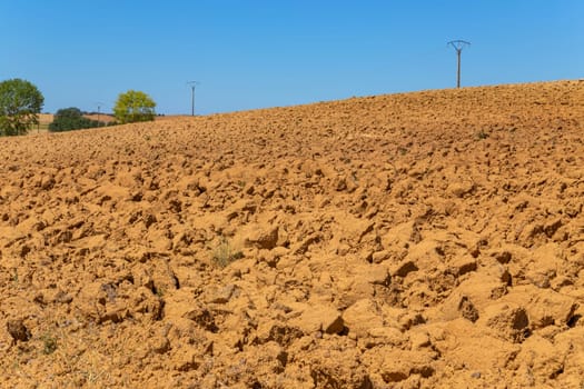 Cultivated field in the Extremadura plains, Spain