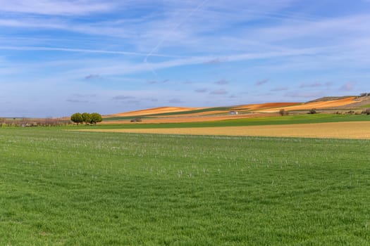 Green field and the sky in Zamora, near Puebla de Sanabria, Spain