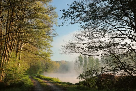 Dirt road on the edge of a pond on a foggy spring day during sunrise, Poland.