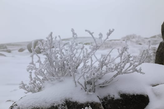 Winter landscape with snow in mountains of Serra do Geres natural park, Portugal