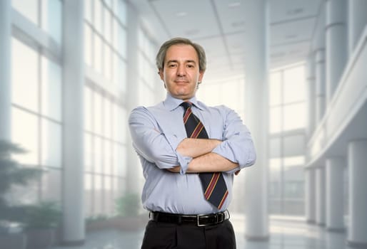mature business man portrait at the office