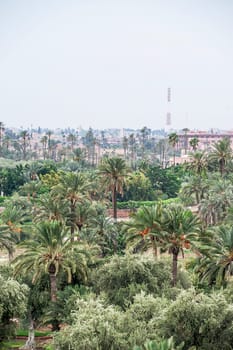 marrakech morocco rooftop view