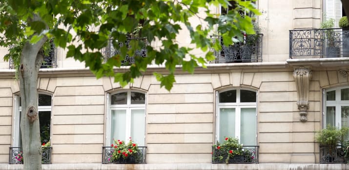 French Balconies With Flowers in Paris