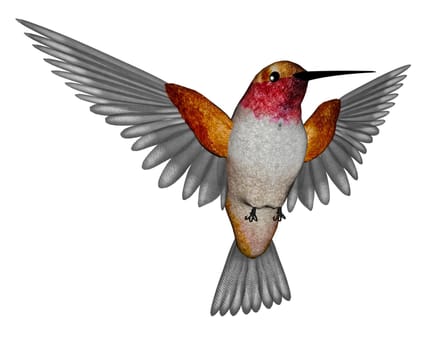 Emerald hummingbird flying isolated in white background - 3D render