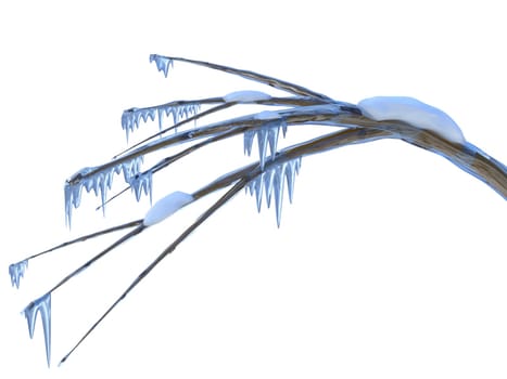 Frozen branch of a tree with icicles and snow in icy winter season time