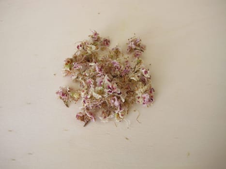 Dried horse chestnut flowers, Flores Hippocastani