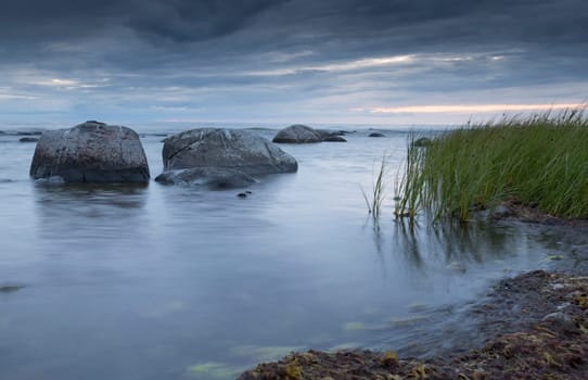 Calm Ocean with Rocks and Sea Weed.